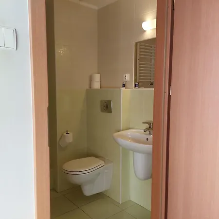 Albergue Dom Studencki Rubin *